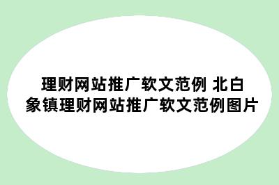 理财网站推广软文范例 北白象镇理财网站推广软文范例图片